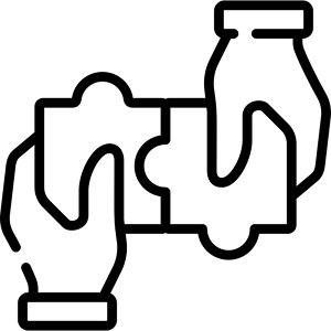 Strategic Partners& Investores